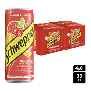 SCHWEPPES AGRUM 24X33CL